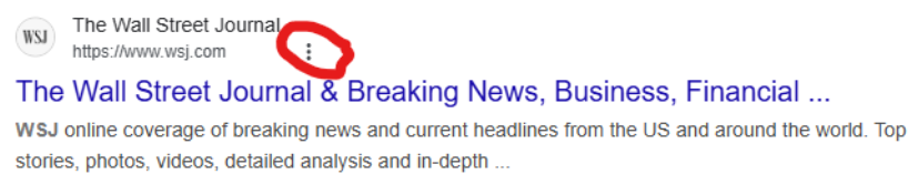A screenshot of the Google search result for The Wall Street Journal. It includes three, gray vertical dots.”